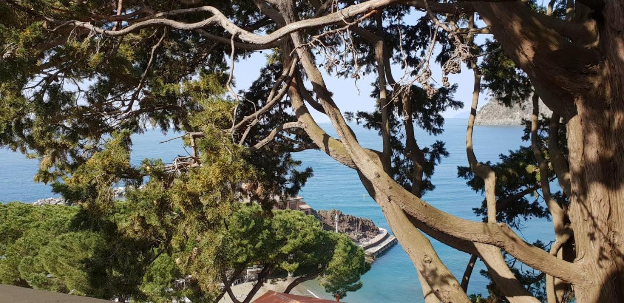 Villa Mare Blu Levanto Eksteriør billede